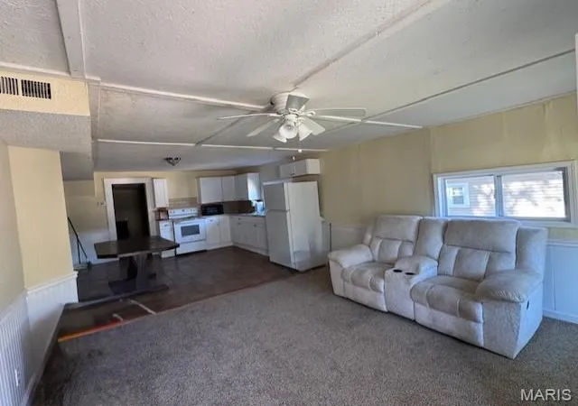 Homes for sale in Poplar Bluff, MO | 508 Apple St, Poplar Bluff, MO 63901 | MLS# MIS25057729