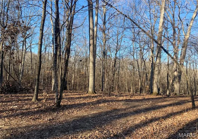 5th image of 0 15 +/- Acres Polston Ln, Marthasville, MO 63357 | MLS# MIS25058009