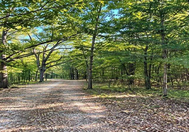 Photo 3 of Land for sale at 18759 Maries Road 308, Belle, MO 65013 | MLS# MIS25058136 | Listing updated on 2026-10-06