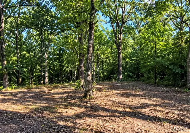 Photo 4 of House for sale at 18759 Maries Road 308, Belle, MO 65013 | MLS# MIS25058136 | Listing updated on 2026-10-06