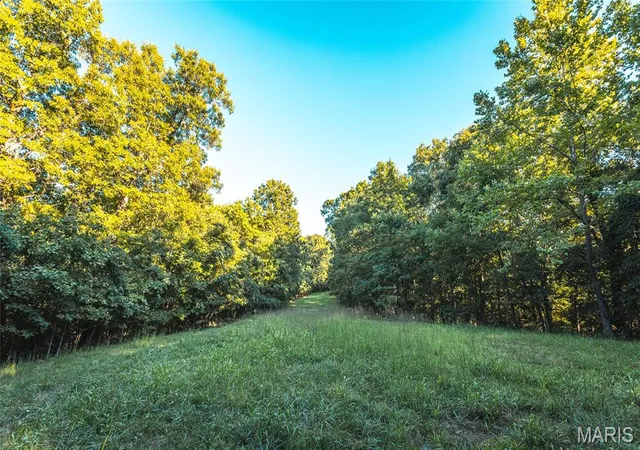 Photo 4 of House for sale at 24418 Golden Beach Rd, Barnett, MO 65011 | MLS# MIS25059270 | Listing updated on 2026-09-12
