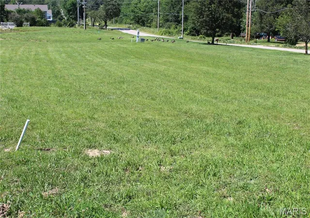 5th image of 319 Pintail Ln, Poplar Bluff, MO 63901 | MLS# MIS25061562