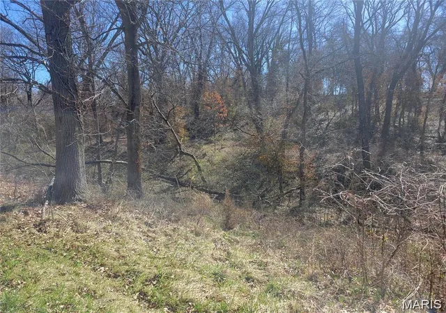 Photo 2 of Land at 2209 College Ave, Alton, IL 62002 | MLS# MIS25063029 | | Sold on 2025-11-04