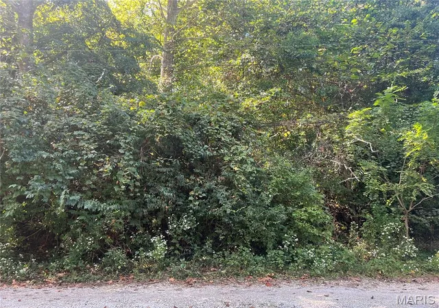 Photo 3 of Land for sale at 2135 Linnus Dr, High Ridge, MO 63049 | MLS# MIS25063683 | Listing updated on 2026-07-01