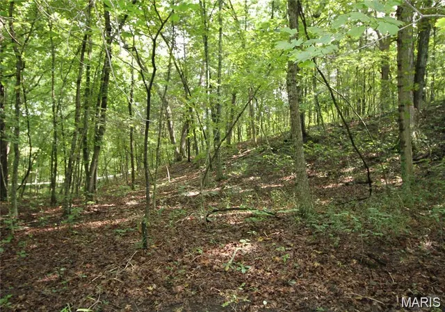 Photo 3 of Sale Pending at 5848 Forest Dr, Hillsboro, MO 63050 | MLS# MIS25063996 | Listing updated on 2026-10-07