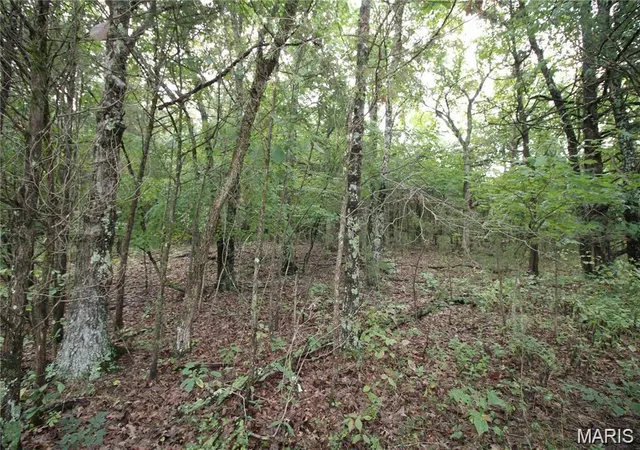 Photo 4 of Sale Pending at 5848 Forest Dr, Hillsboro, MO 63050 | MLS# MIS25063996 | Listing updated on 2026-10-07