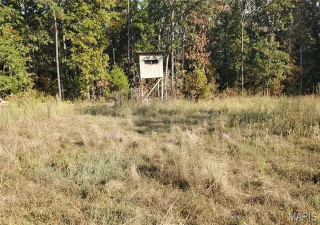 1st image of 00 County Road 6030, Salem, MO 65560 | MLS# MIS25064526