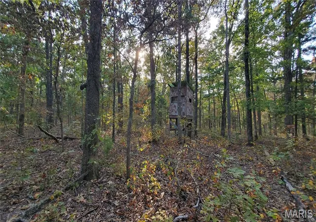 5th image of 00 County Road 6030, Salem, MO 65560 | MLS# MIS25064526