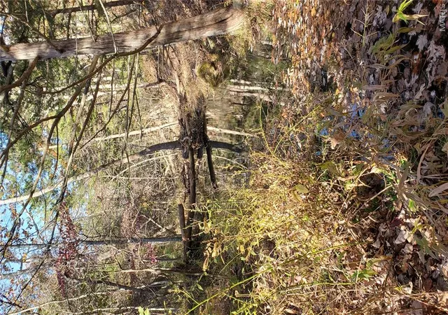 45th image of 00 County Road 6030, Salem, MO 65560 | MLS# MIS25064526