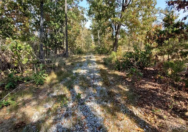 3rd image of 00 County Road 6030, Salem, MO 65560 | MLS# MIS25064526
