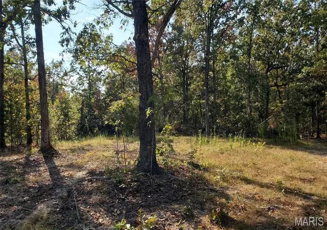 4th image of 00 County Road 6030, Salem, MO 65560 | MLS# MIS25064526
