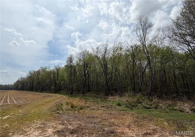 5th image of 0 S Hwy 60 E, Poplar Bluff, MO 63901 | MLS# MIS25066386