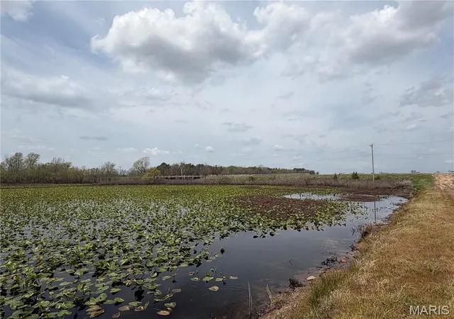 6th image of 0 S Hwy 60 E, Poplar Bluff, MO 63901 | MLS# MIS25066386