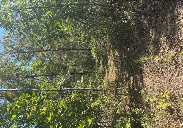 Photo 3 of Land for sale at 214 Wayne 503 B, Lowndes, MO 63951 | MLS# MIS25066684 | Listing updated on 2026-09-28