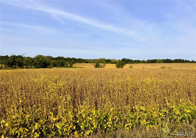 12th image of 0 Airline Street, Hurdland, MO 63547 | MLS# MIS25067133