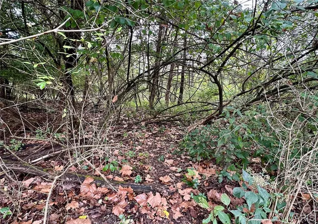 4th image of Tbd Shady Ln, Rolla, MO 65401 | MLS# MIS25069423