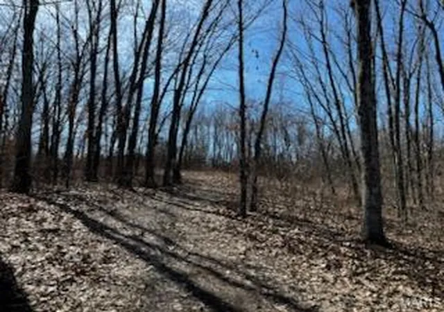 Photo 3 of Land for sale at Lot 8 Decora Ct, Elsberry, MO 63343 | MLS# MIS25070217 | Listing updated on 2026-08-13