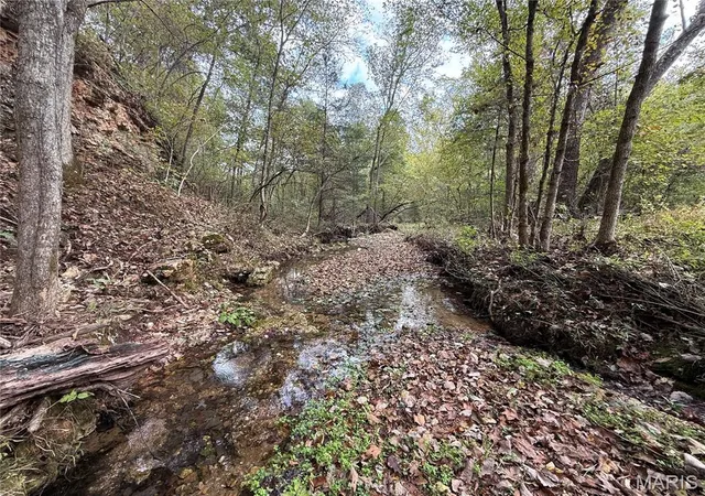 2nd image of Long Spring Long Spring Rd, Steelville, MO 65565 | MLS# MIS25070892