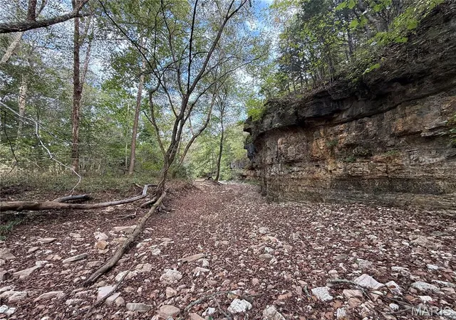 3rd image of Long Spring Long Spring Rd, Steelville, MO 65565 | MLS# MIS25070892