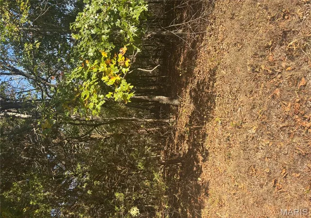 Photo 4 of Land for sale at 2 Mo-72, Fredericktown, MO 63645 | MLS# MIS25071031 | Listing updated on 2025-10-23