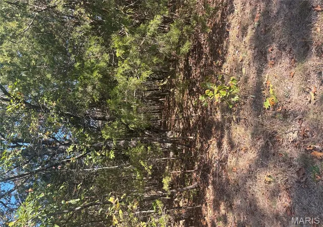 Photo 4 of Land for sale at 6 Mo-72, Fredericktown, MO 63645 | MLS# MIS25071044 | Listing updated on 2025-10-23