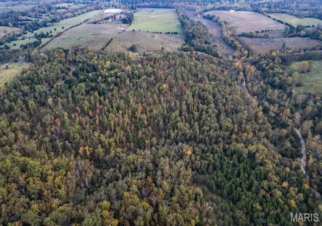 Homes for sale in Elk Creek, MO | 18927 Rocky Top Rd, Elk Creek, MO 65464 | MLS# MIS25071347