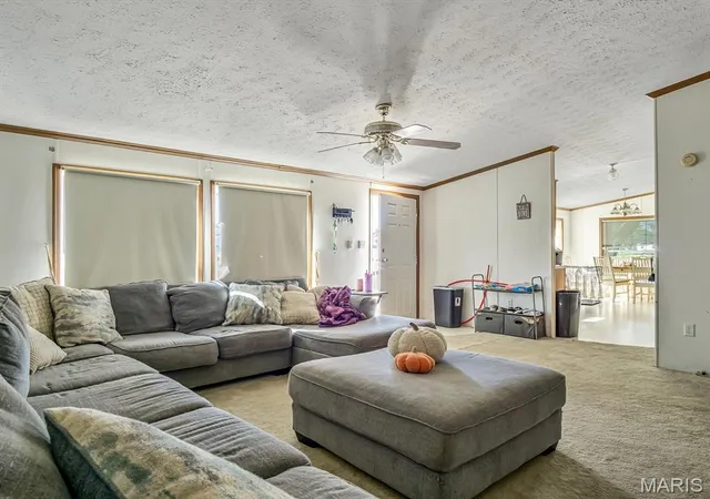 Homes for sale in Willisville, IL | 929 State Route 4, Willisville, IL 62997 | MLS# MIS25071566
