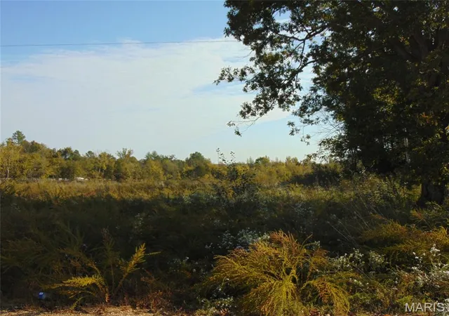 Photo 3 of Land for sale at 605 Bridge Street, Doniphan, MO 63935 | MLS# MIS25072228 | Listing updated on 2025-10-27
