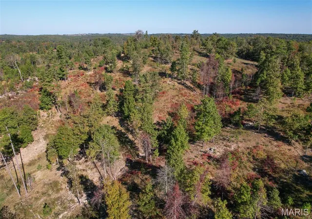 Homes for sale in Willow Springs, MO | 0 County Road 1130, Willow Springs, MO 65793 | MLS# MIS25072439
