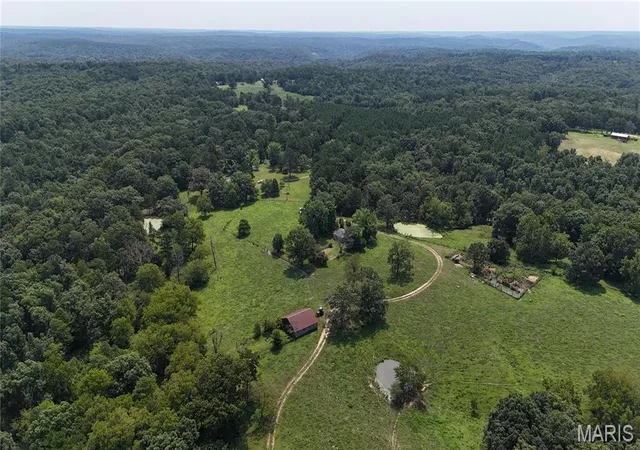 Photo 3 of Land for sale at 205 County Road 6550, Salem, MO 65560 | MLS# MIS25073309 | Listing updated on 2026-08-05