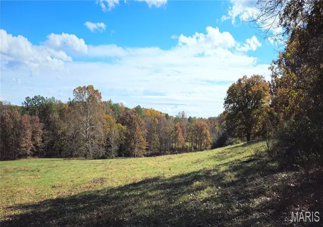 Land for sale at 205 County Road 6550, Salem, MO 65560 | MLS# MIS25073309