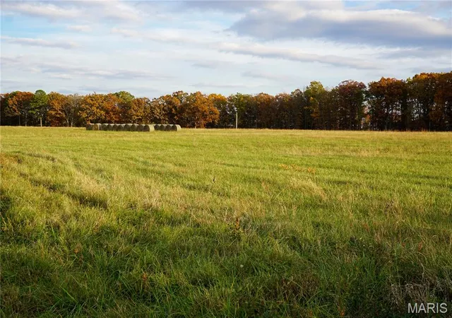 Homes for sale in St James, MO | Tbd State Route Kk, St James, MO 65559 | MLS# MIS25073467
