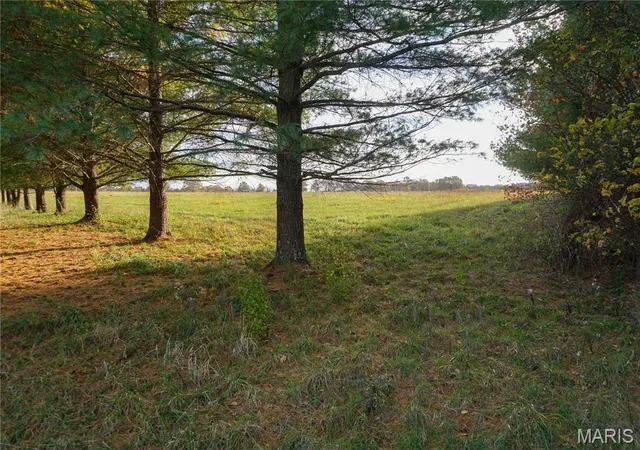 Homes for sale in St James, MO | Tbd State Route Kk, St James, MO 65559 | MLS# MIS25073467