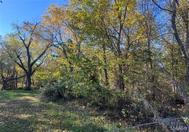 Photo 3 of Land for sale at 722 E Bland Rd, Lebanon, MO 65536 | MLS# MIS25074155 | Listing updated on 2026-06-16