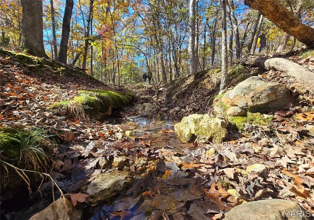 1st image of 0 Railroad Ln, Doe Run, MO 63637 | MLS# MIS25074367