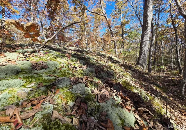 2nd image of 0 Railroad Ln, Doe Run, MO 63637 | MLS# MIS25074367