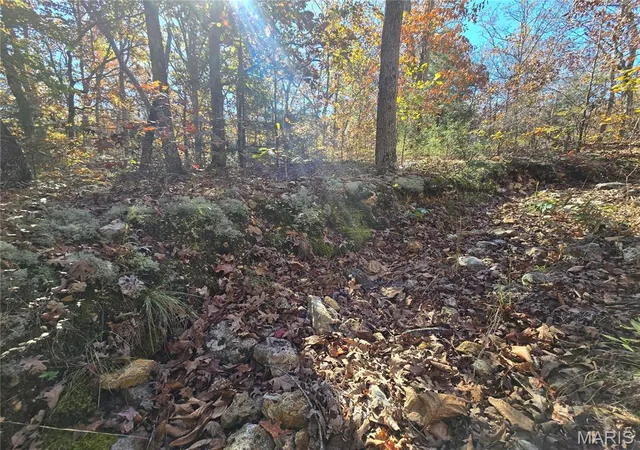 Photo 3 of Land for sale at 0 Railroad Ln, Doe Run, MO 63637 | MLS# MIS25074367 | Listing updated on 2026-04-15