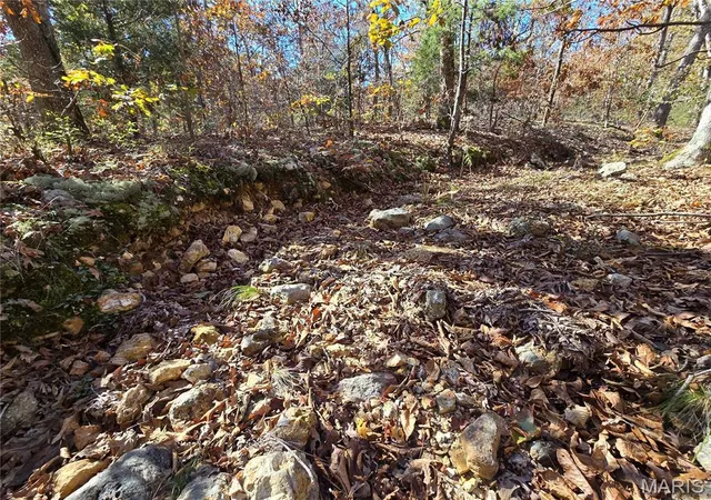 Photo 3 of Land for sale at 0 Railroad Ln, Doe Run, MO 63637 | MLS# MIS25074367 | Listing updated on 2026-04-15
