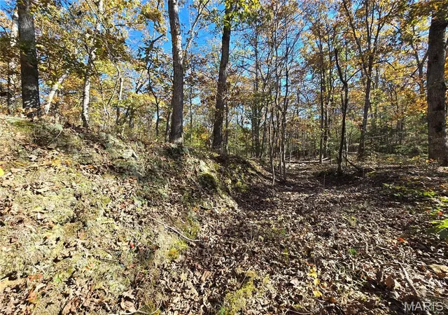 Photo 4 of Land for sale at 0 Railroad Ln, Doe Run, MO 63637 | MLS# MIS25074367 | Listing updated on 2026-04-15