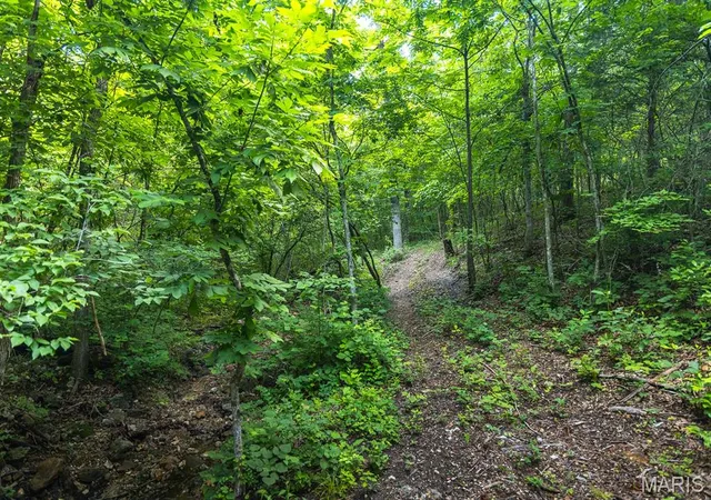 Photo 2 of Land at 00 Hwy Z, Edwards, MO 65326 | MLS# MIS25074594 |  | Sold on 2026-03-06