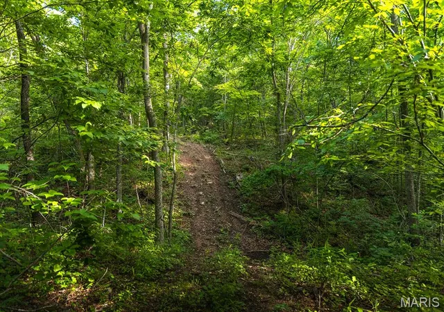 Photo 3 of Land at 00 Hwy Z, Edwards, MO 65326 | MLS# MIS25074594 |  | Sold on 2026-03-06