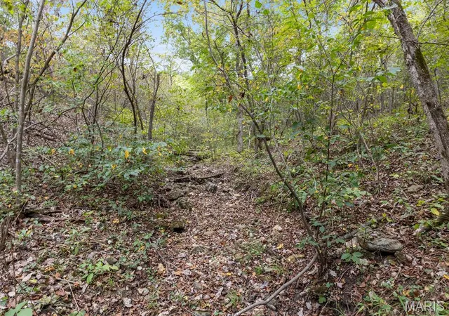 Photo 18 of Land for sale at 00 Hwy Z, Edwards, MO 65326 | MLS# MIS25074599 | Listing updated on 2026-02-01