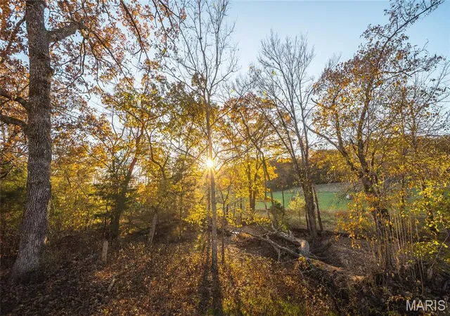 60th image of 6601 County Line Road, Graff, MO 65660 | MLS# MIS25074822