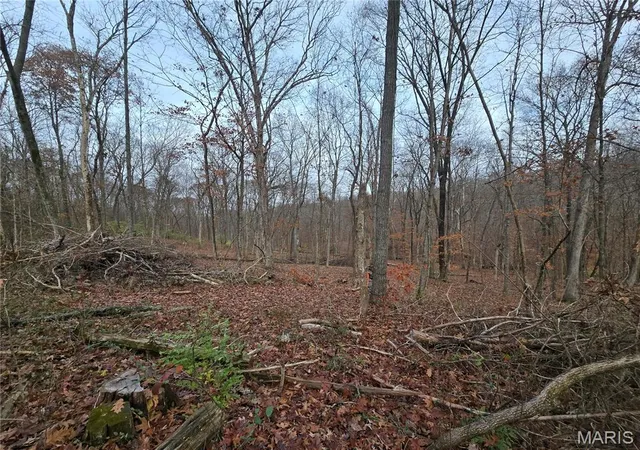 2nd image of 499 Sunset Echo Rd, Union, MO 63084 | MLS# MIS25076721