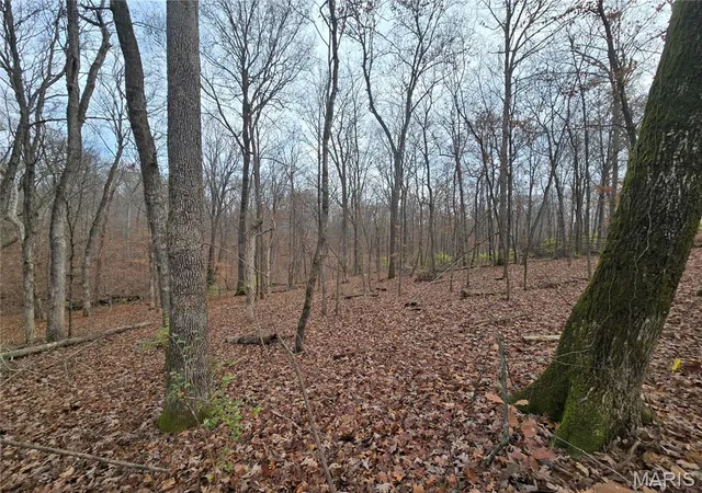 4th image of 499 Sunset Echo Rd, Union, MO 63084 | MLS# MIS25076721