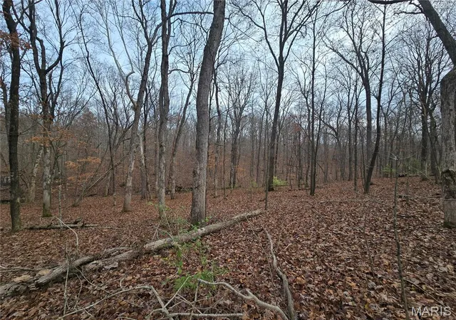 5th image of 499 Sunset Echo Rd, Union, MO 63084 | MLS# MIS25076721