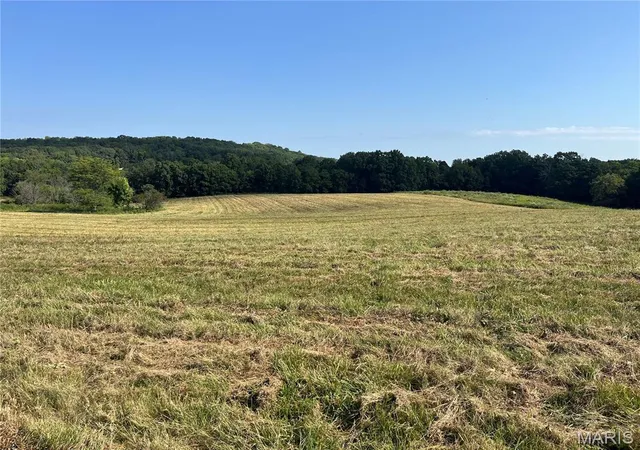1st image of 31 Autumn Ridge Dr, Elsberry, MO 63343 | MLS# MIS25077229