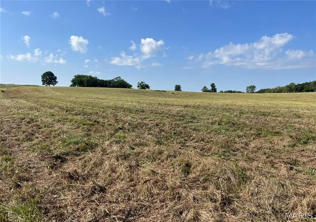 2nd image of 31 Autumn Ridge Dr, Elsberry, MO 63343 | MLS# MIS25077229