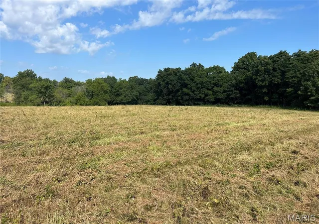 3rd image of 31 Autumn Ridge Dr, Elsberry, MO 63343 | MLS# MIS25077229