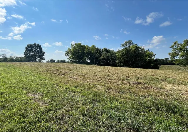 1st image of 32 Autumn Ridge Dr, Elsberry, MO 63343 | MLS# MIS25077251